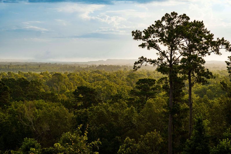 Texas Is Nothing but Flat Desert