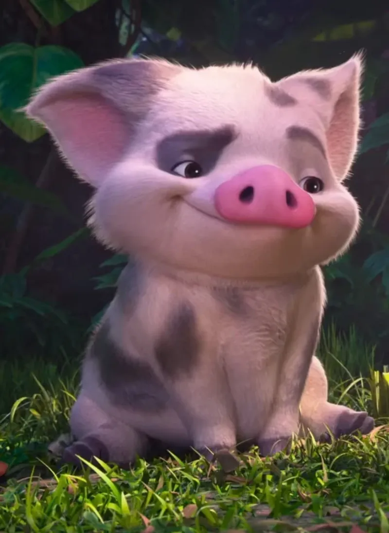 Pua (Moana)