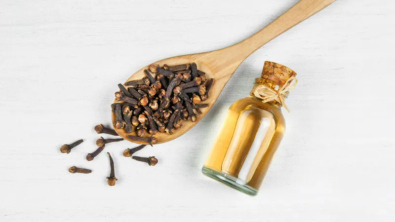 Cloves