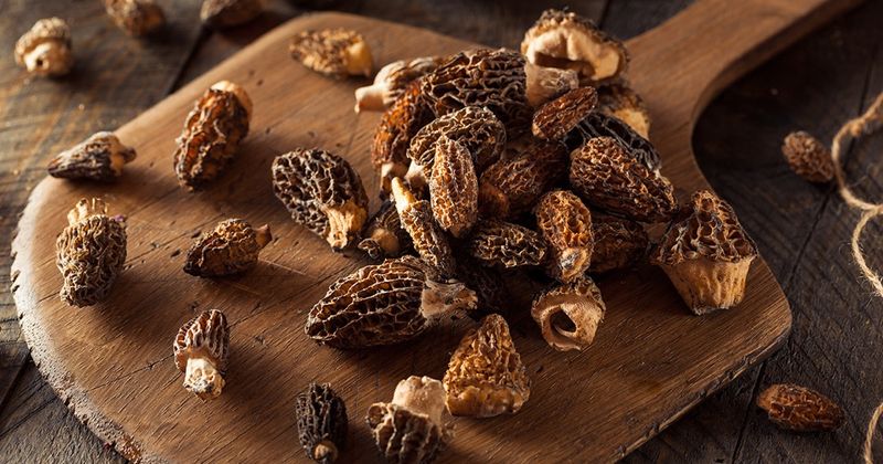 Finnish Morel Mushrooms (Finland)