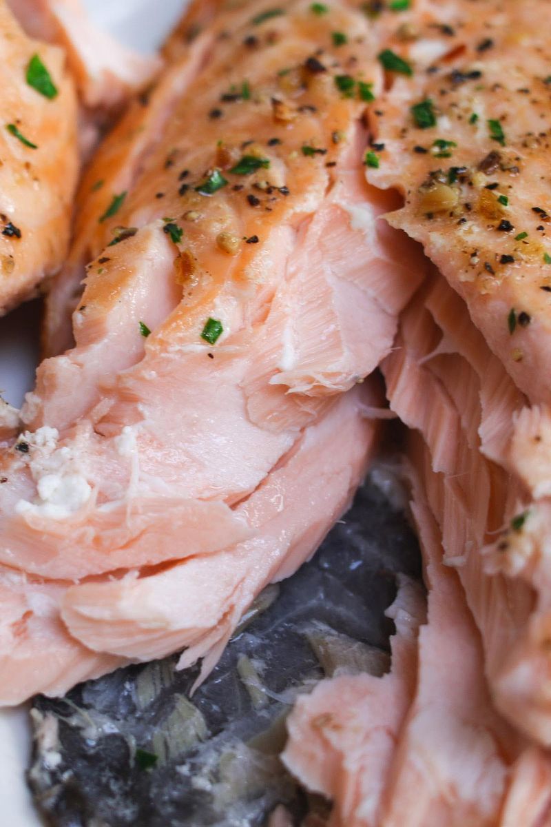 Salmon