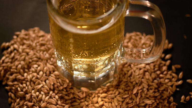 Barley Becomes Beer