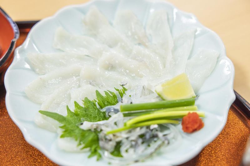Fugu - Japan