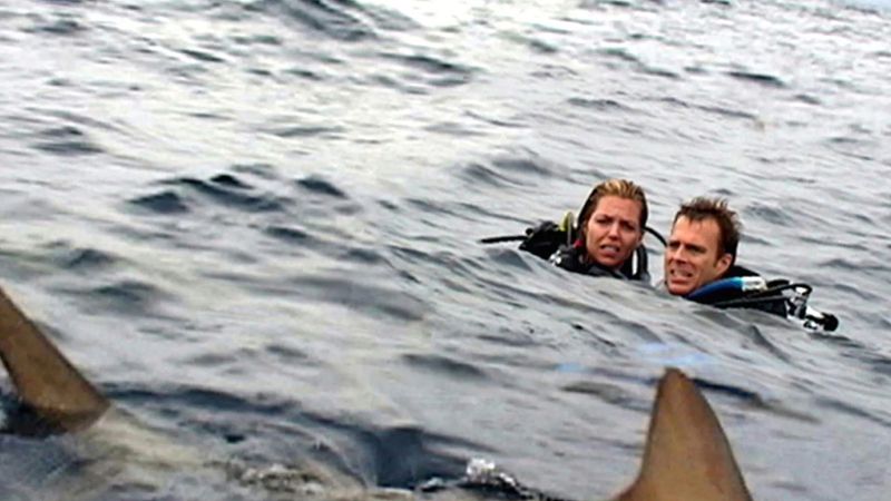 Open Water (2003)