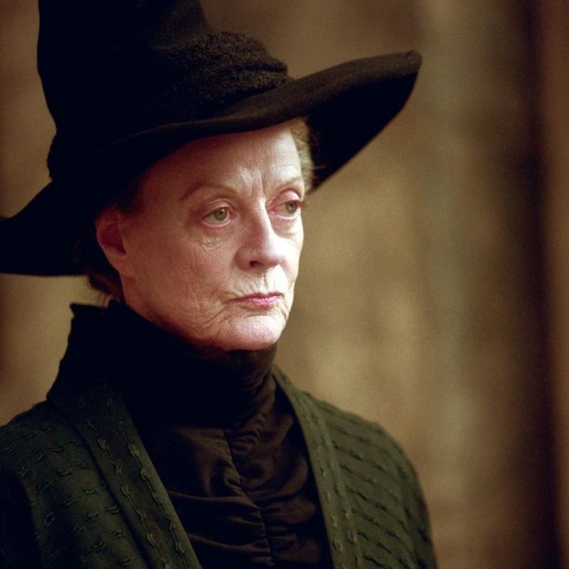 Professor McGonagall Was a Secret Death Eater
