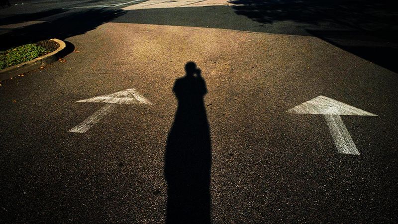 Curiosity and a Drive to Keep Growing