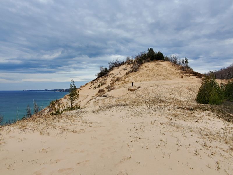 Arcadia Dunes - C.S. Mott Nature Preserve