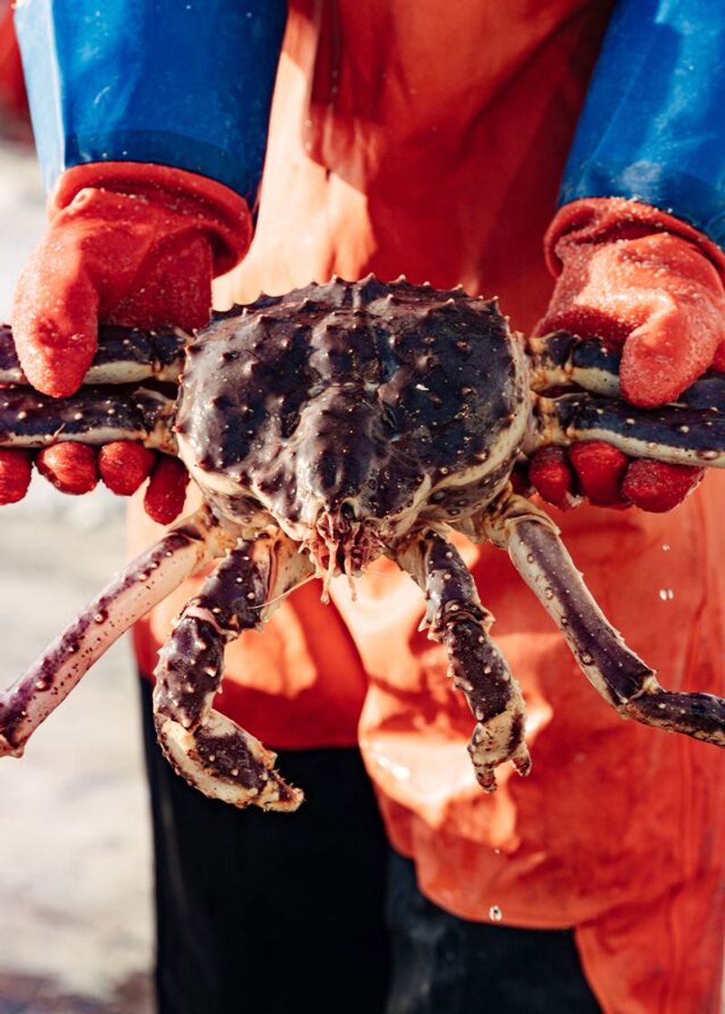 Norwegian King Crab (Norway)