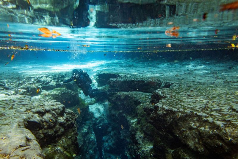Ginnie Springs