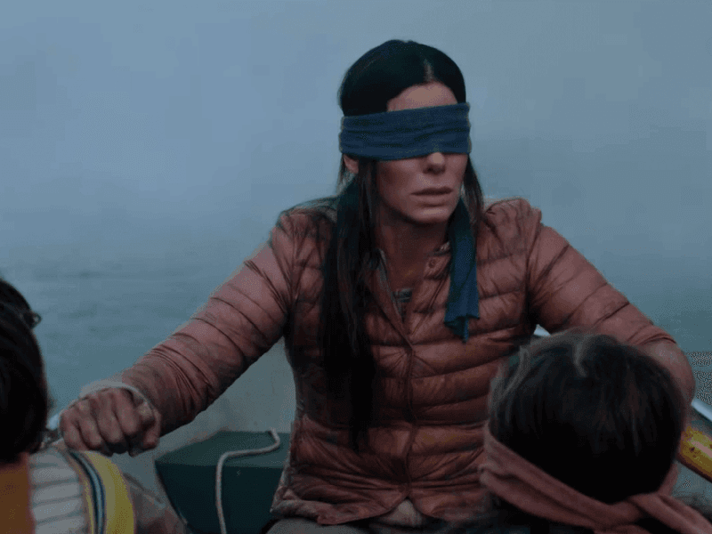 Bird Box