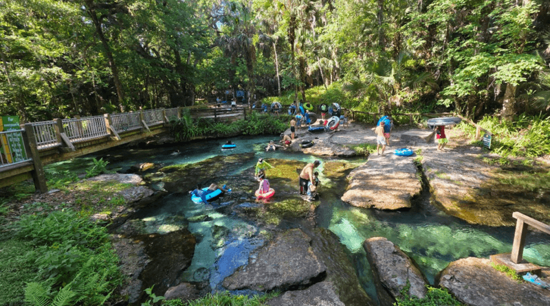 Rock Springs at Kelly Park