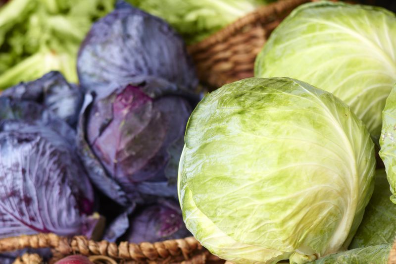 Cabbage