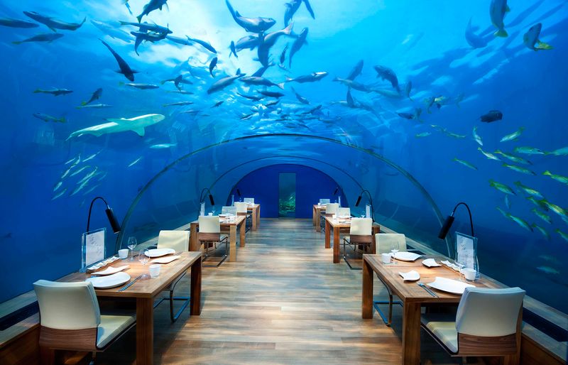 Ithaa Undersea Restaurant - Maldives: A Meal Beneath the Ocean