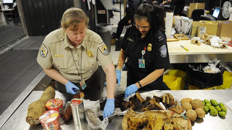 Cooked or Baked Goods with Meat or Egg Fillings