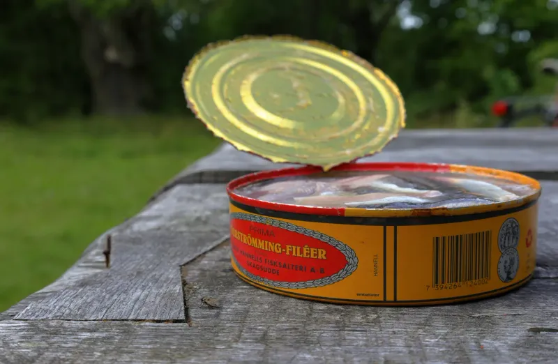 Surströmming