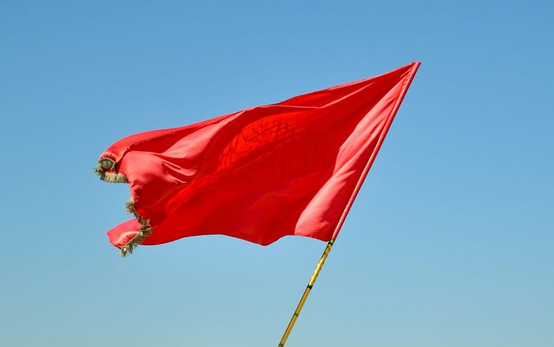 Ignoring Early Red Flags