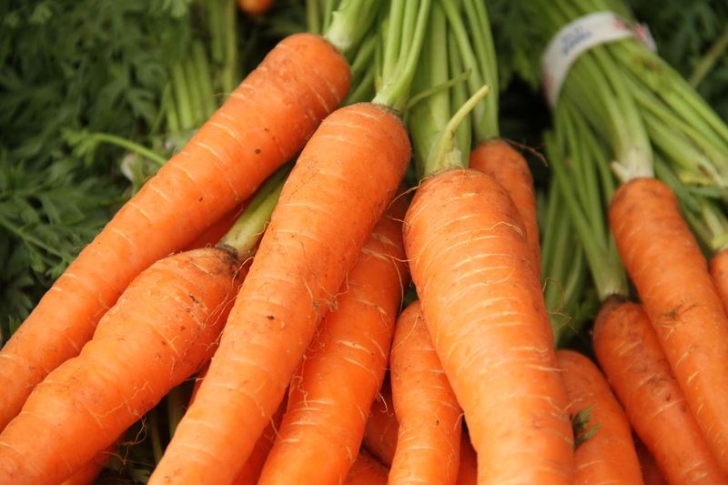 Carrots