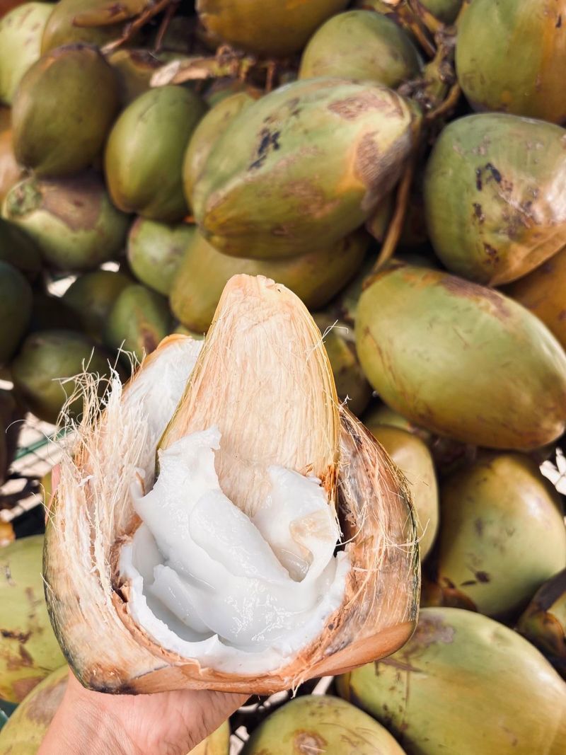 Coconut
