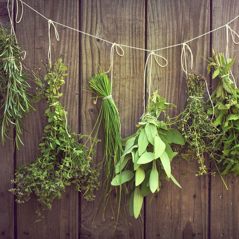 Dried Herbs