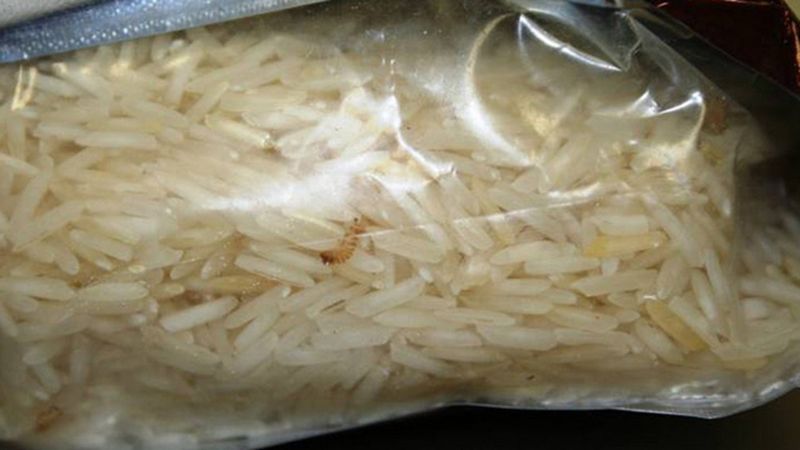 Rice