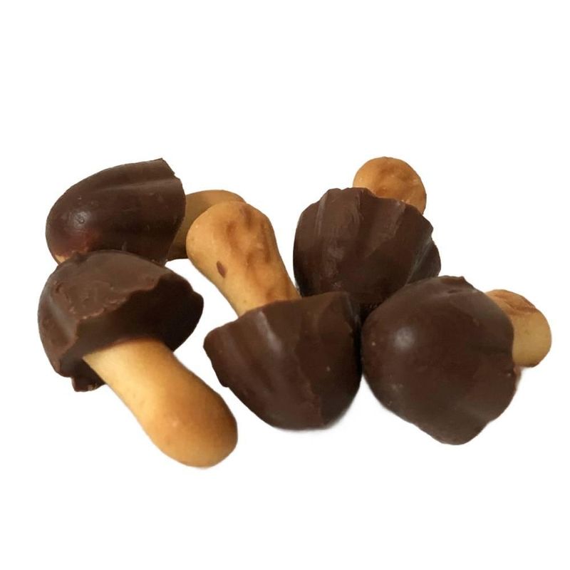 Meiji Kinoko no Yama Mushroom Chocolate