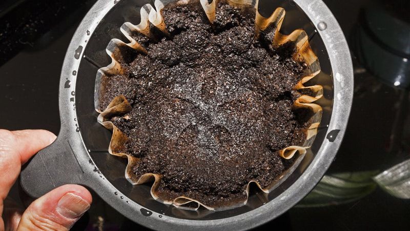 Coffee Grounds