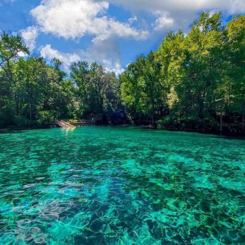 Fanning Springs State Park