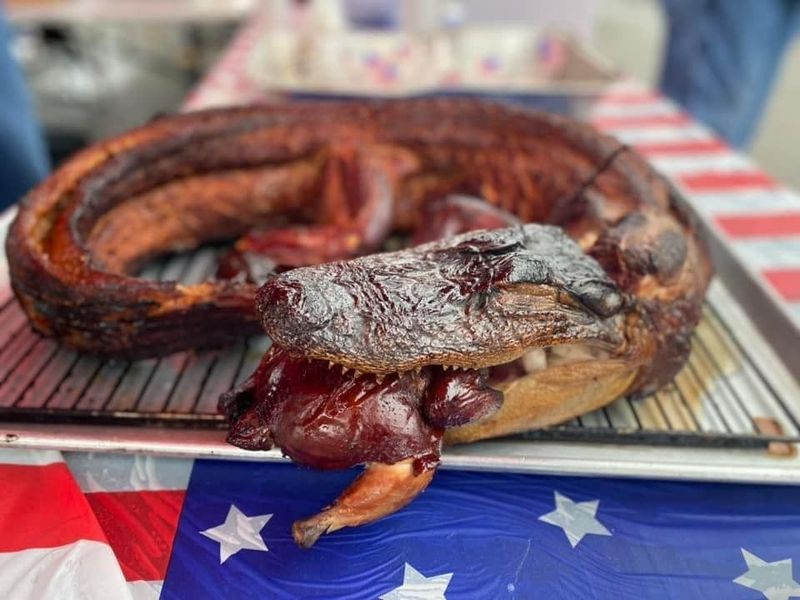 Alligator Meat