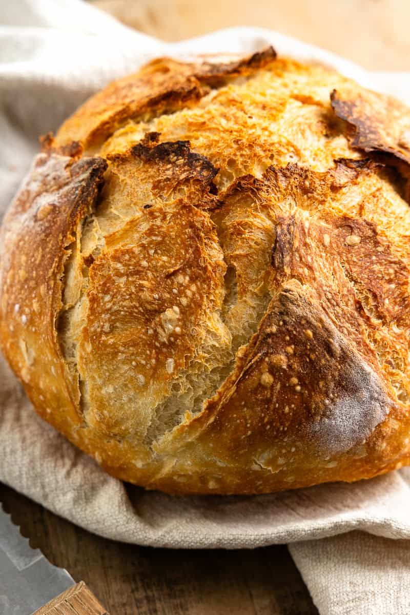 Bread
