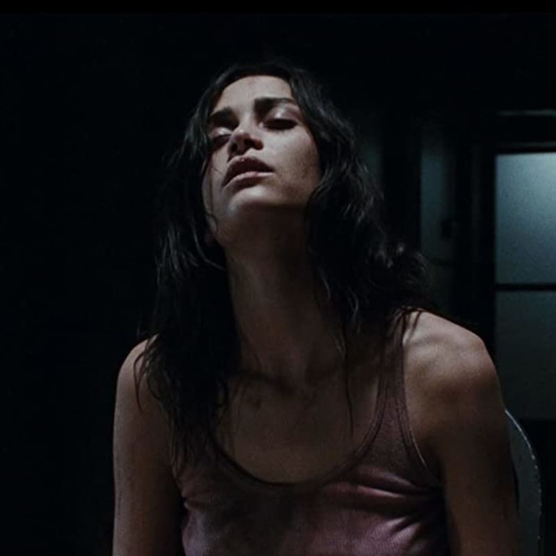Martyrs (2008)