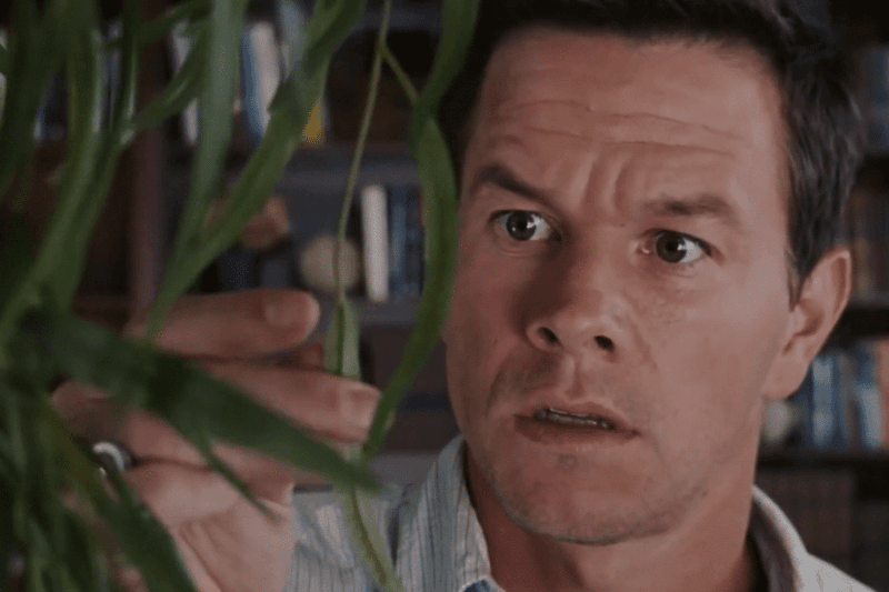 Mark Wahlberg - The Happening (2008)