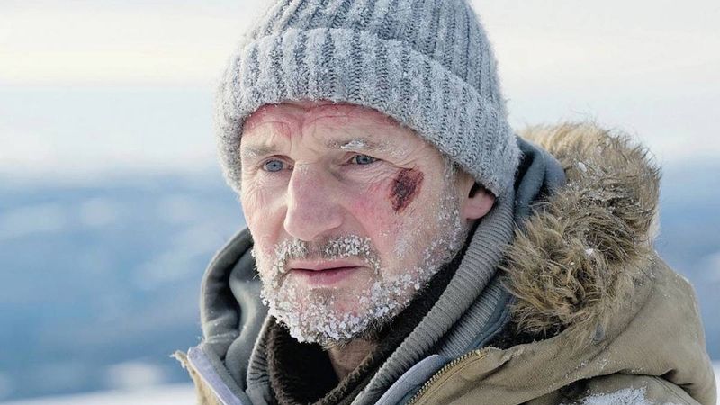 The Grey (2011)