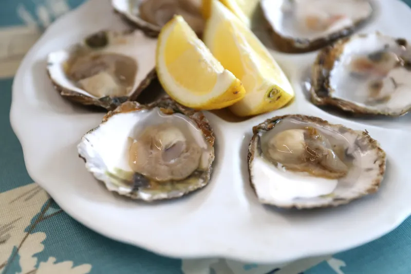 Oysters
