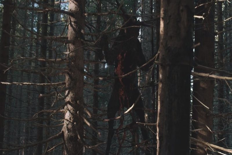 The Ritual