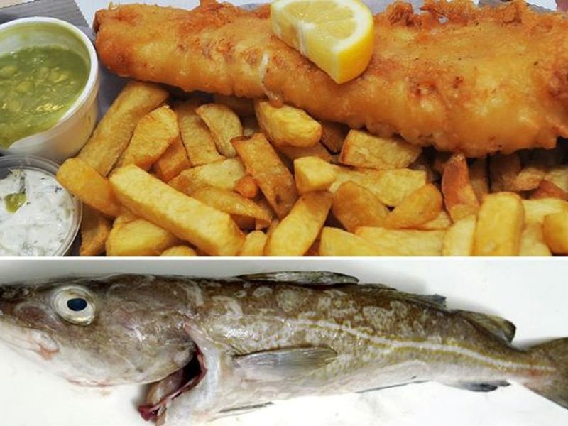 Battered Fish, Belfast, Northern Ireland