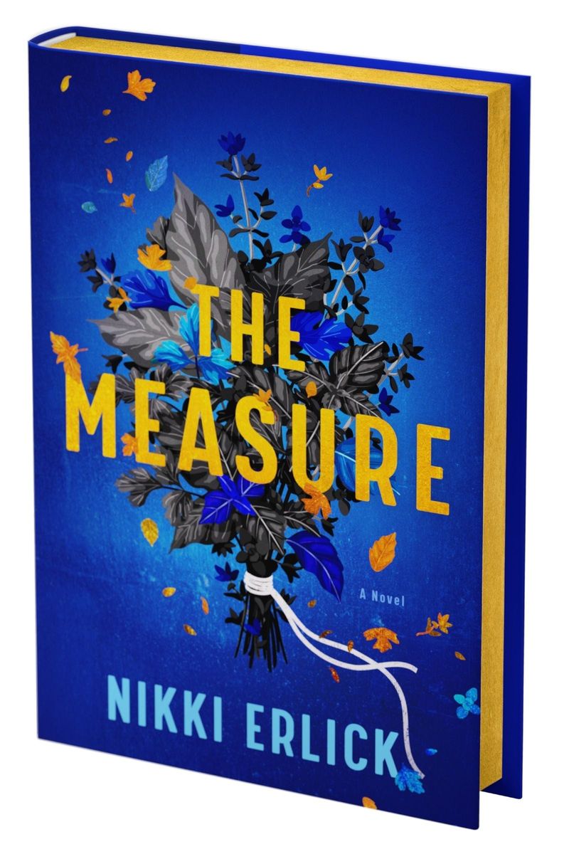 The Measure by Nikki Erlick