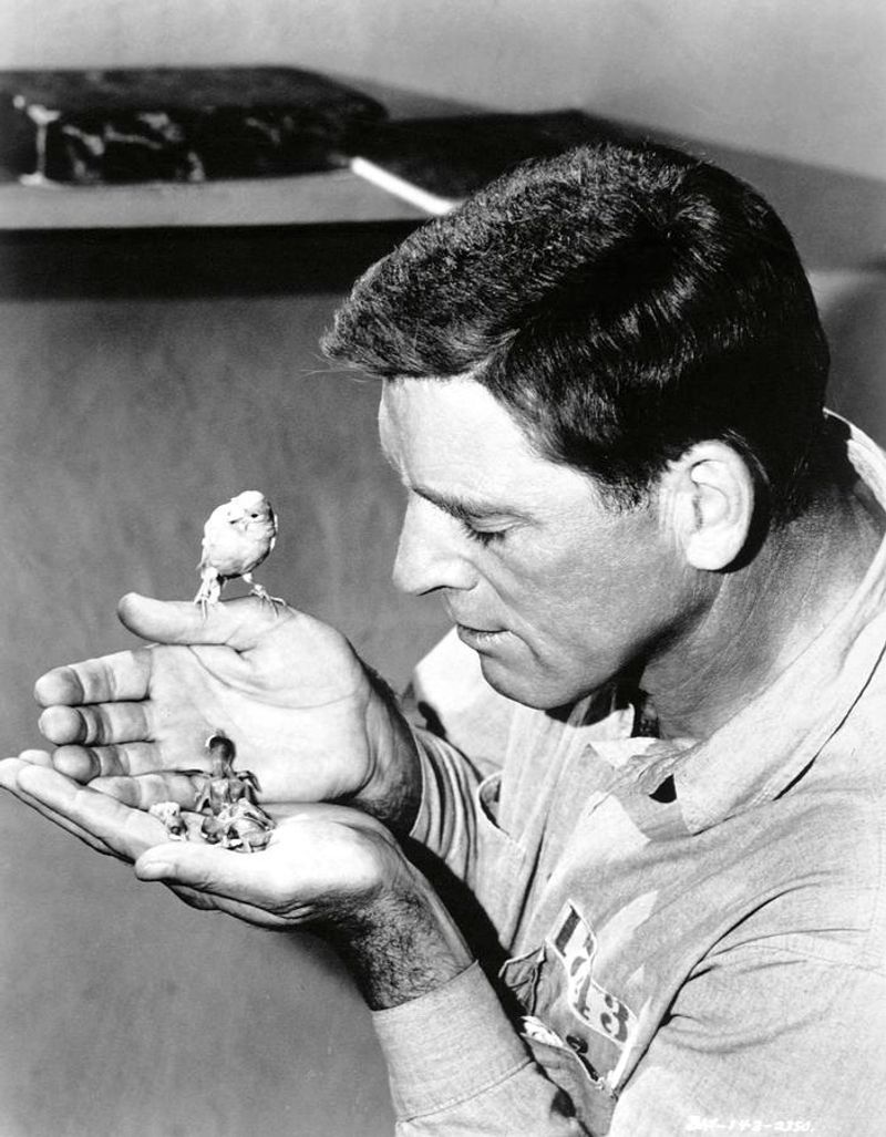 Birdman of Alcatraz (1962)