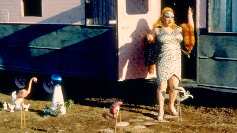 Pink Flamingos (1972)