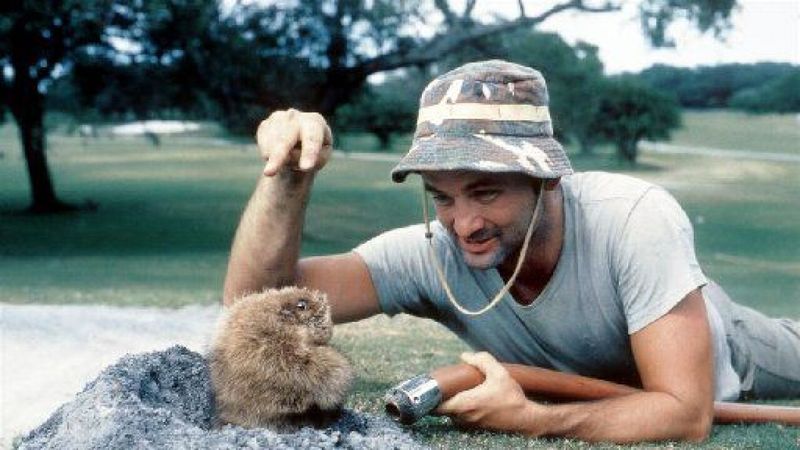 Caddyshack (1980)