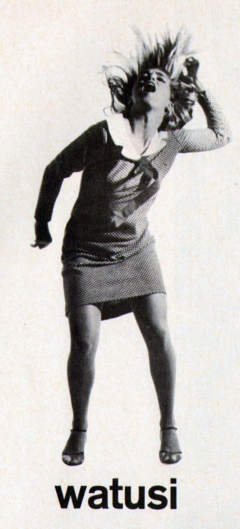 The Watusi