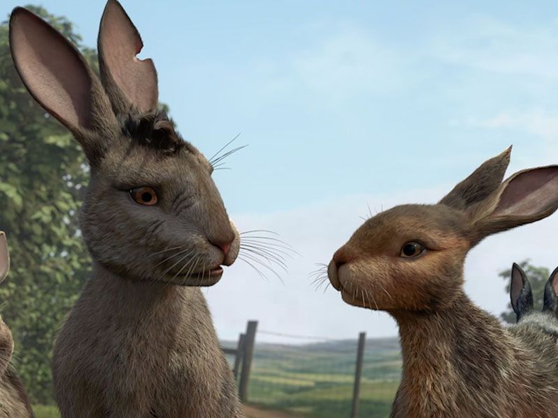 Watership Down