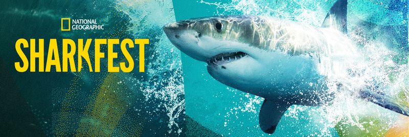 SHARKFEST 2026 on National Geographic