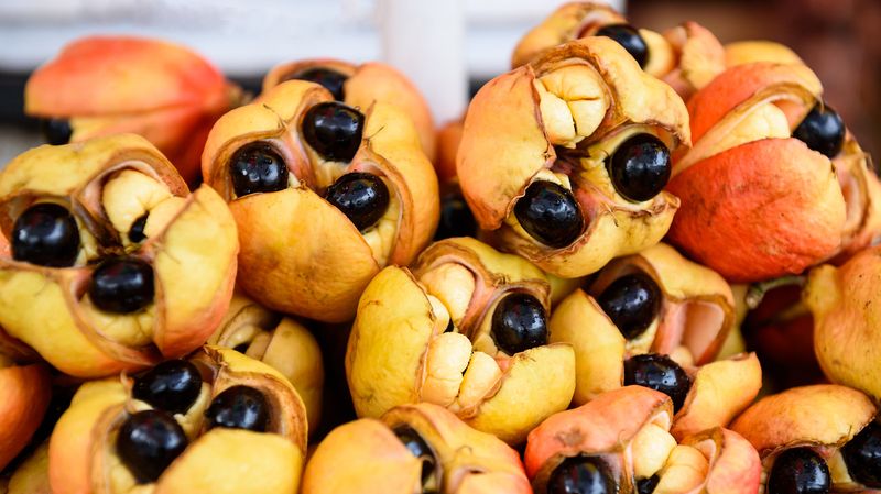 Unripe Ackee Fruit