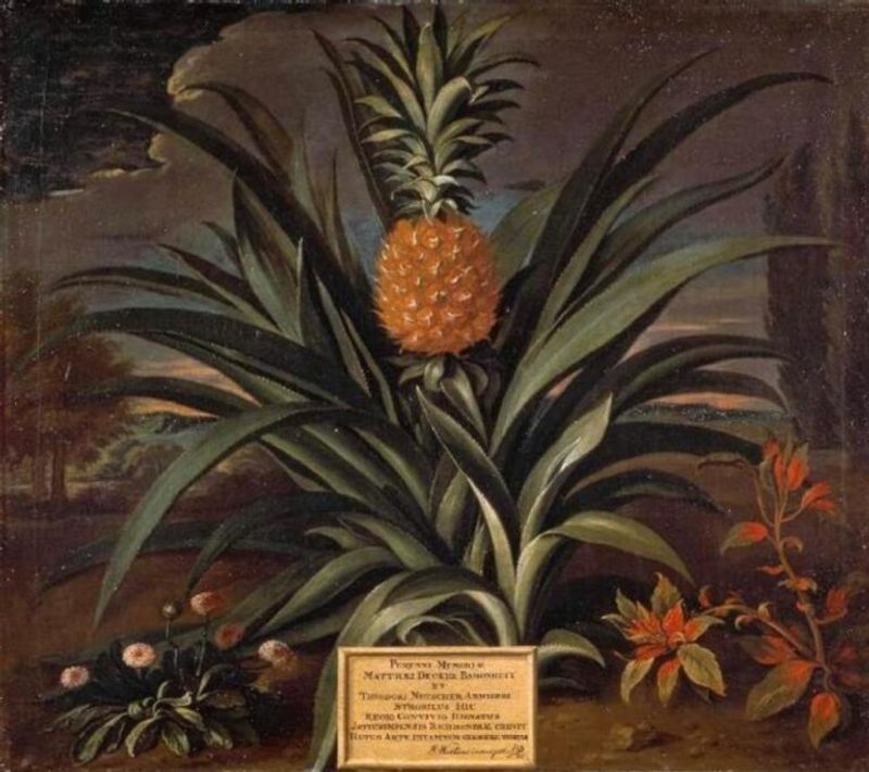 Pineapple