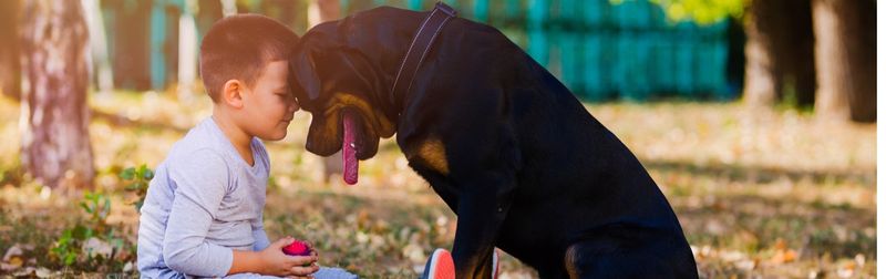How They Treat Animals and Children