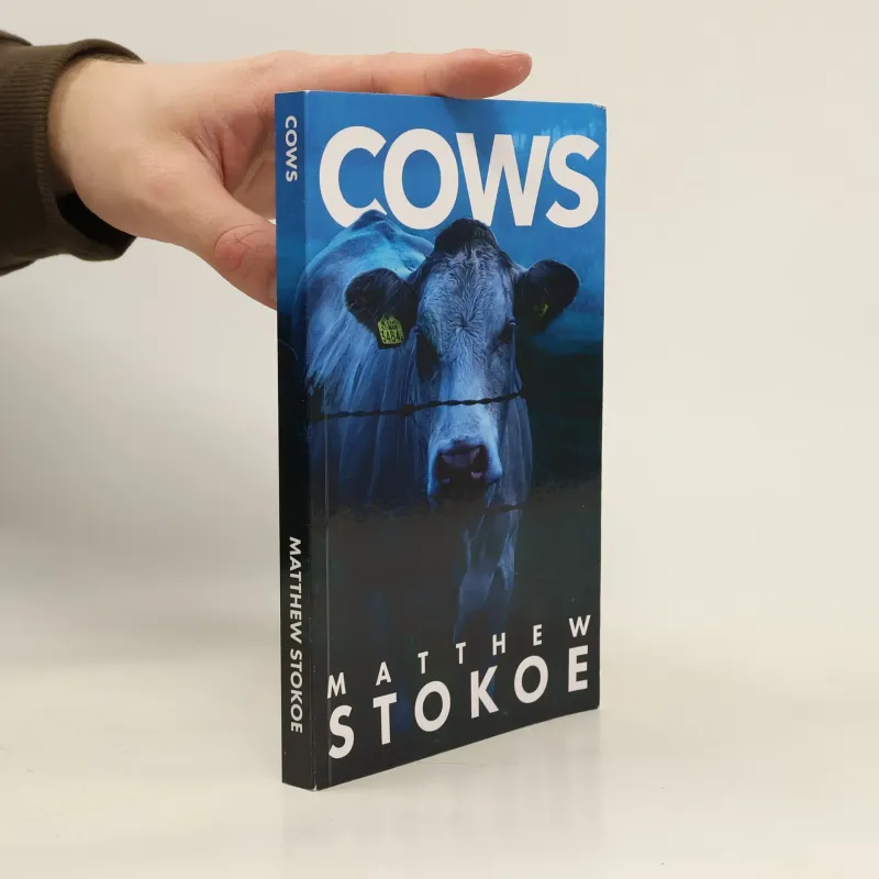 Cows by Matthew Stokoe