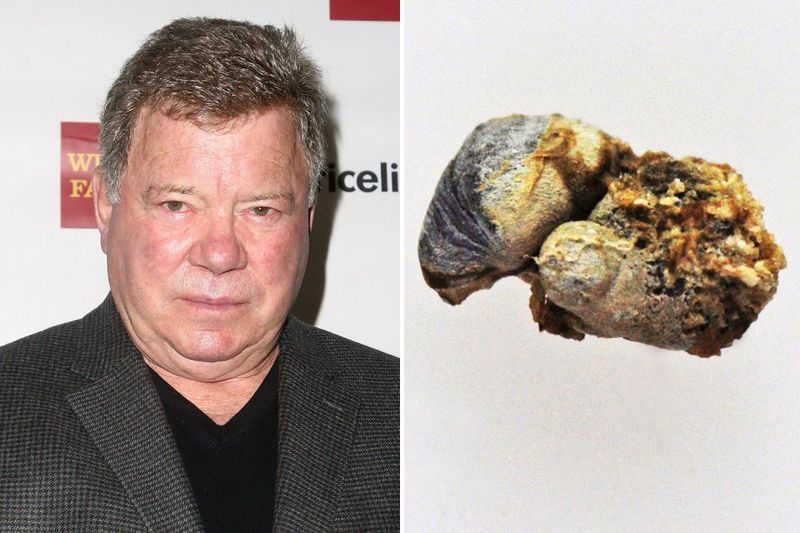 William Shatner