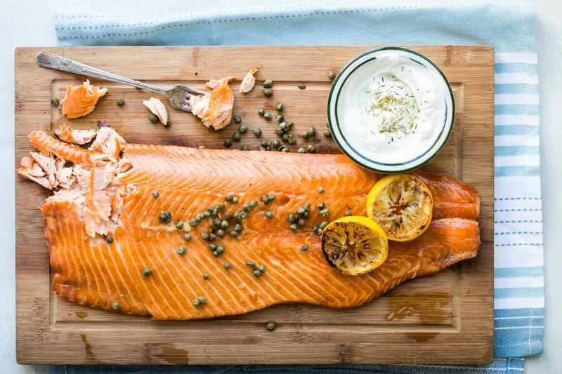 Salmon