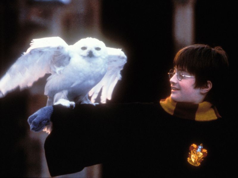 Harry Potter and the Sorcerer's Stone (2001)