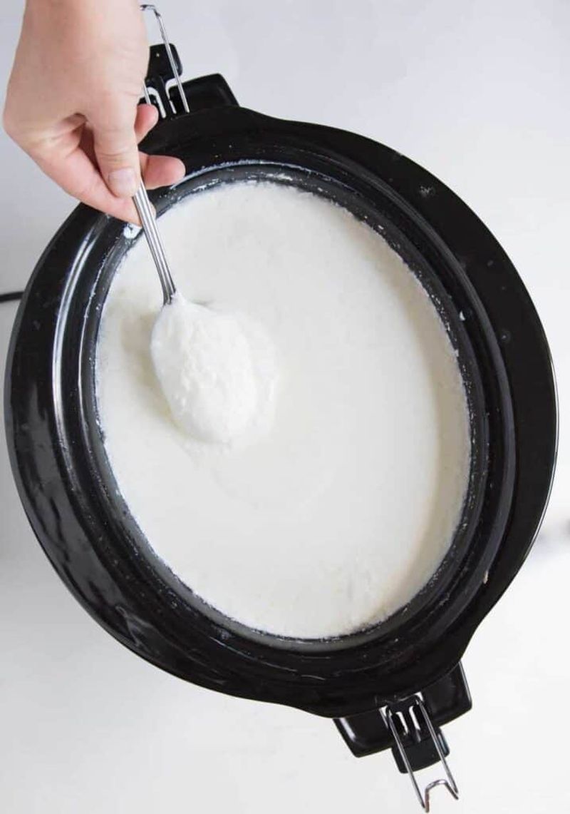 Homemade Yogurt